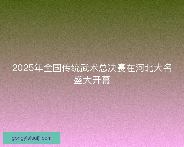 2025年全国传统武术总决赛在河北大名盛大开幕